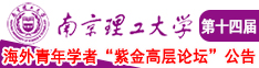 日比视频网站南京理工大学第十四届海外青年学者紫金论坛诚邀海内外英才！